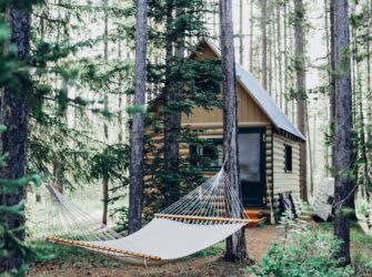 Cabin in the Woods