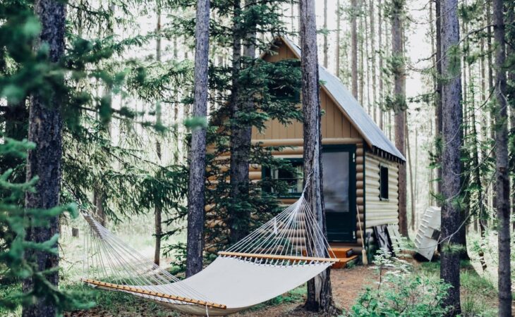 Cabin in the Woods